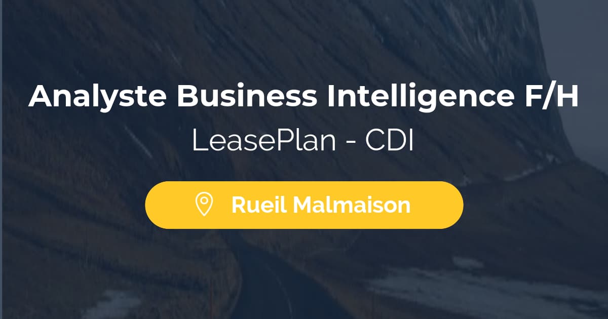 Analyste Business Intelligence F/H